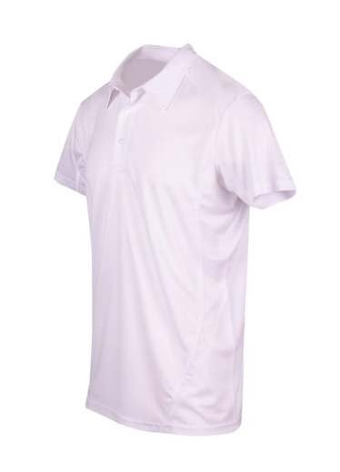 Picture of RAMO, Mens Accelerator Polo